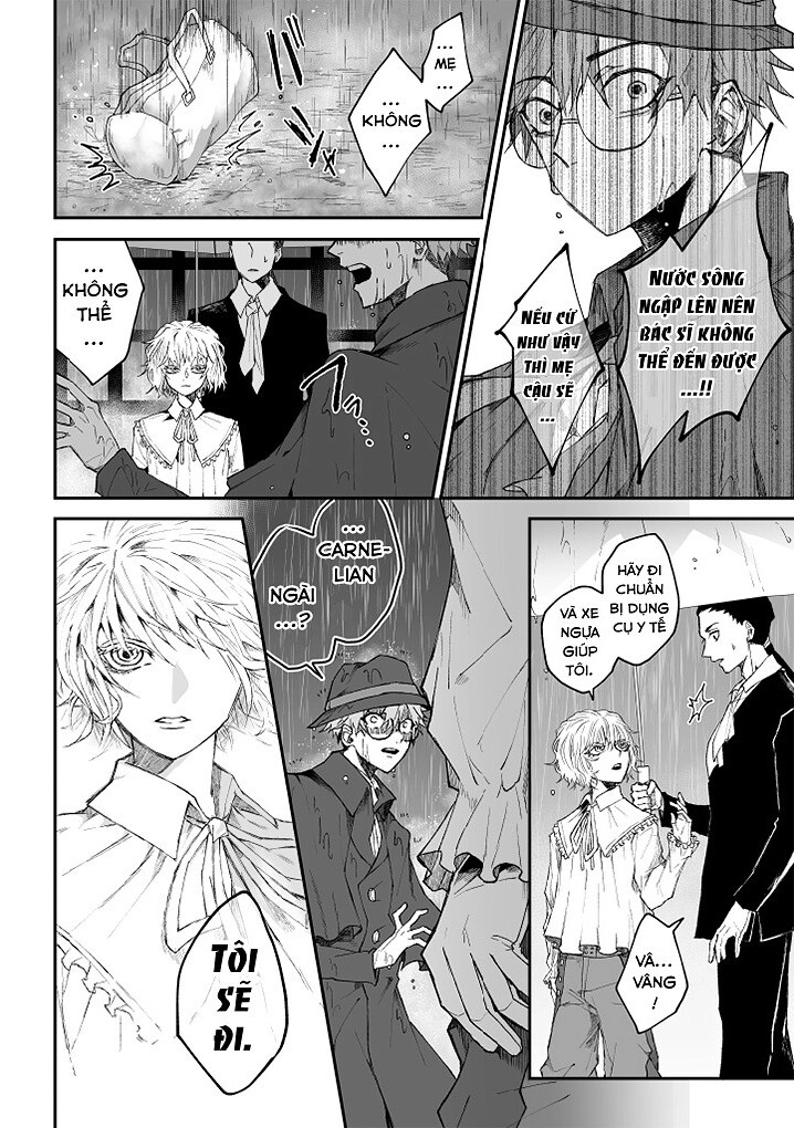 Carnelian Blood Chapter 3 - 13