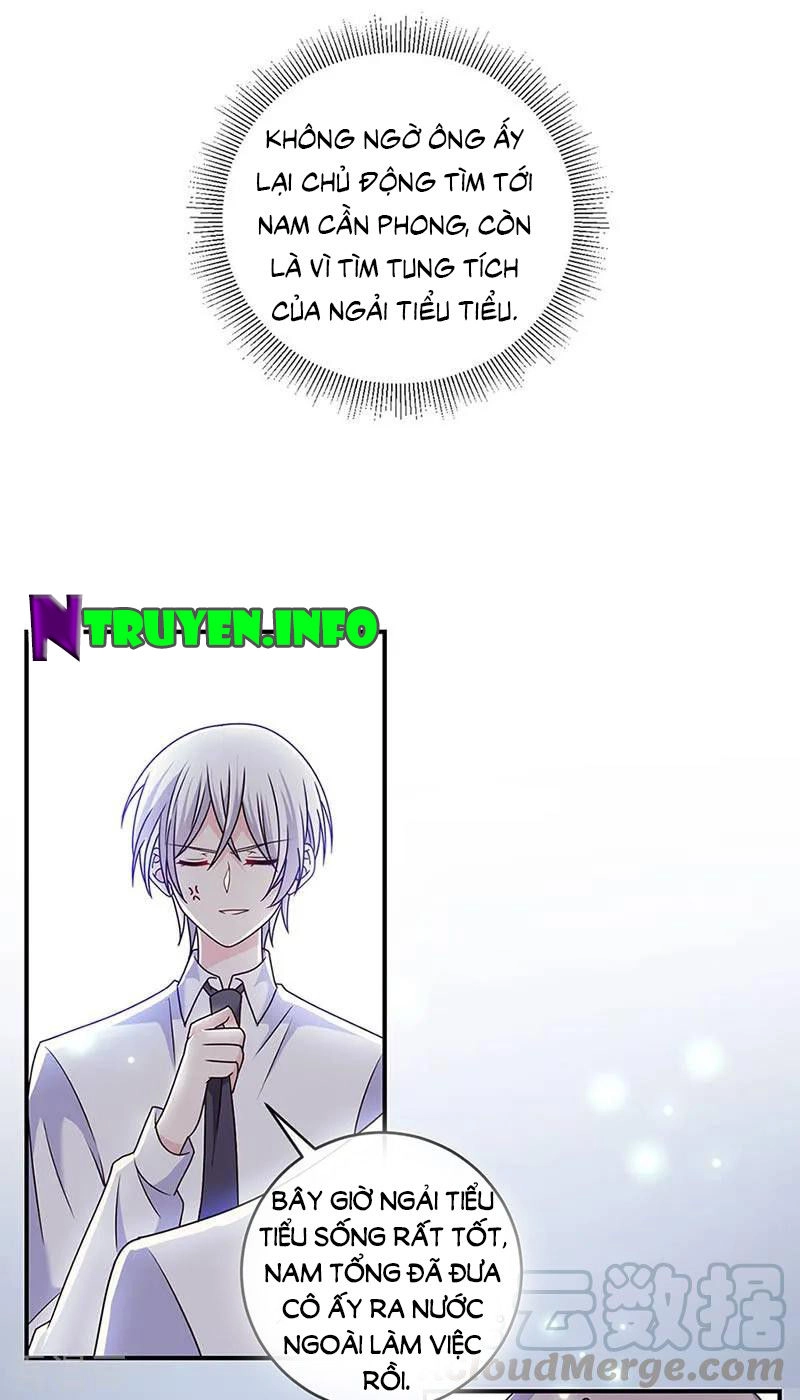 Ác Ma Đừng Hôn Tôi Chapter 126 - 17