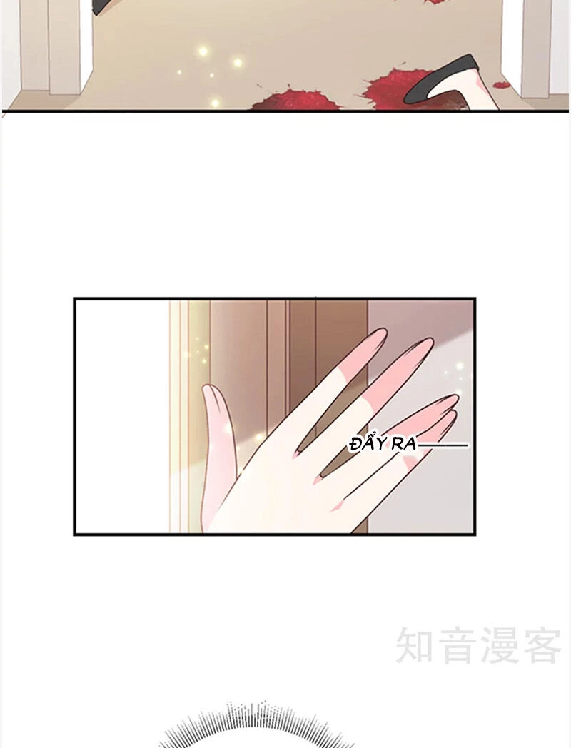 Ác Ma Đừng Hôn Tôi Chapter 148 - 8