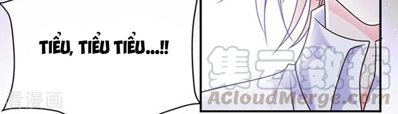 Ác Ma Đừng Hôn Tôi Chapter 164 - 5