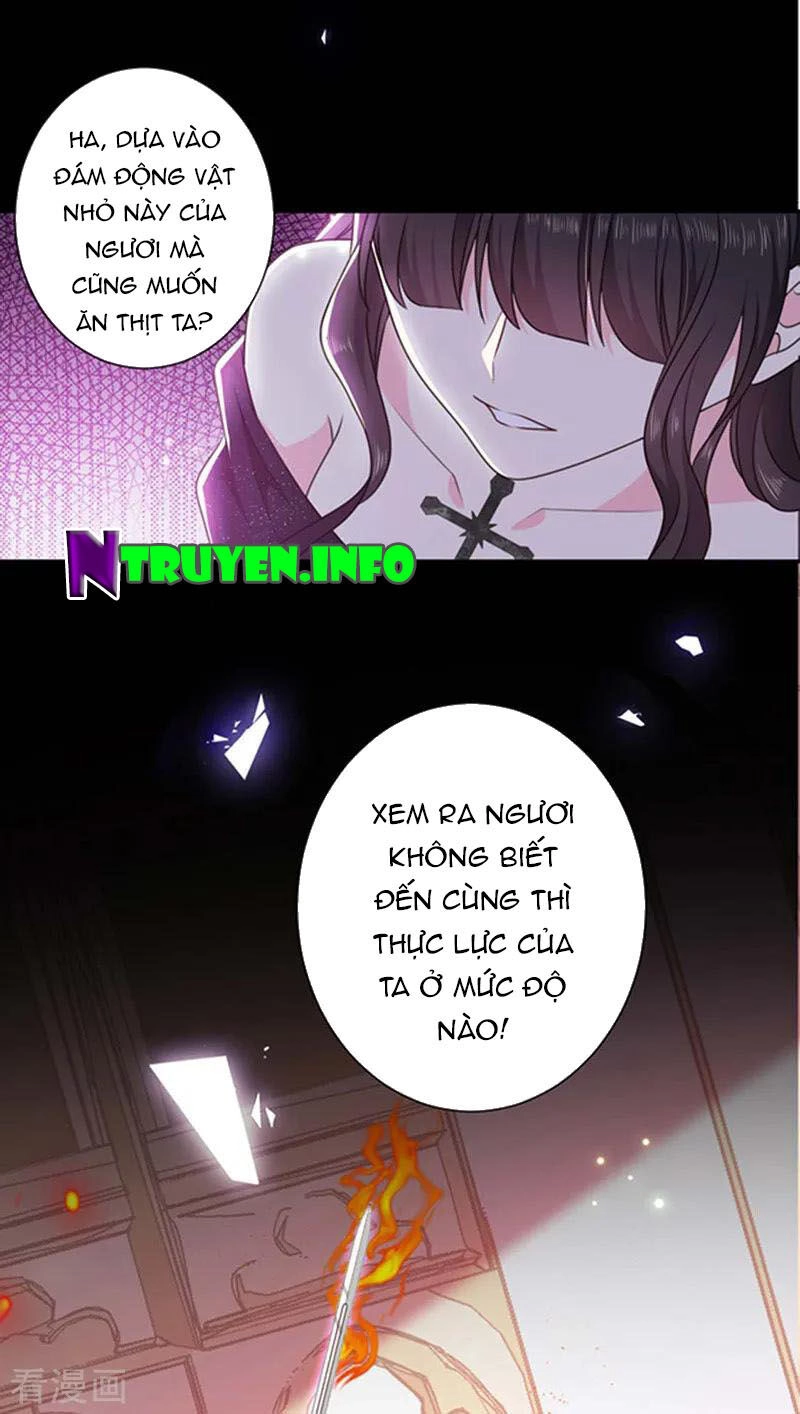 Ác Ma Đừng Hôn Tôi Chapter 177 - 5