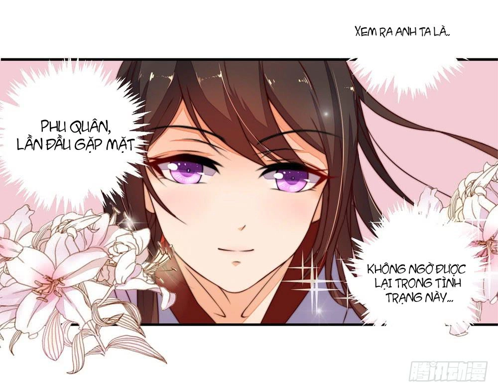 Hướng Dẫn Sau Kết Hôn Của Vương Phi Chapter 8 - 22