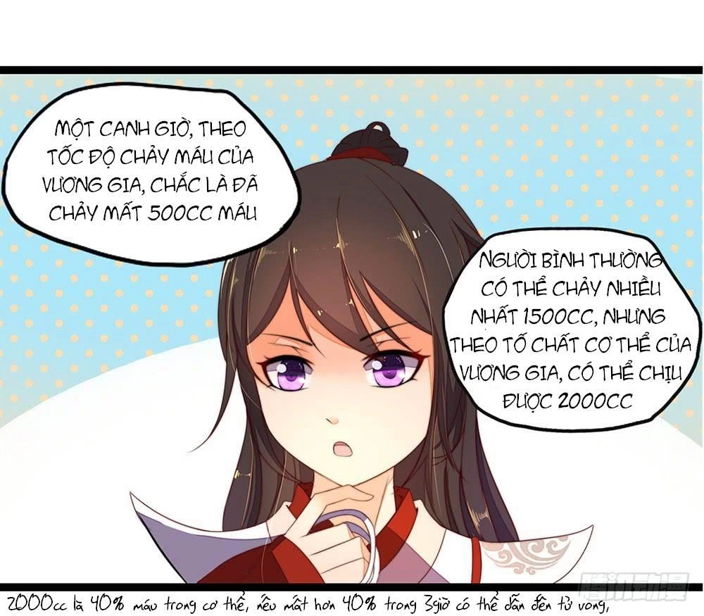 Hướng Dẫn Sau Kết Hôn Của Vương Phi Chapter 9 - 23