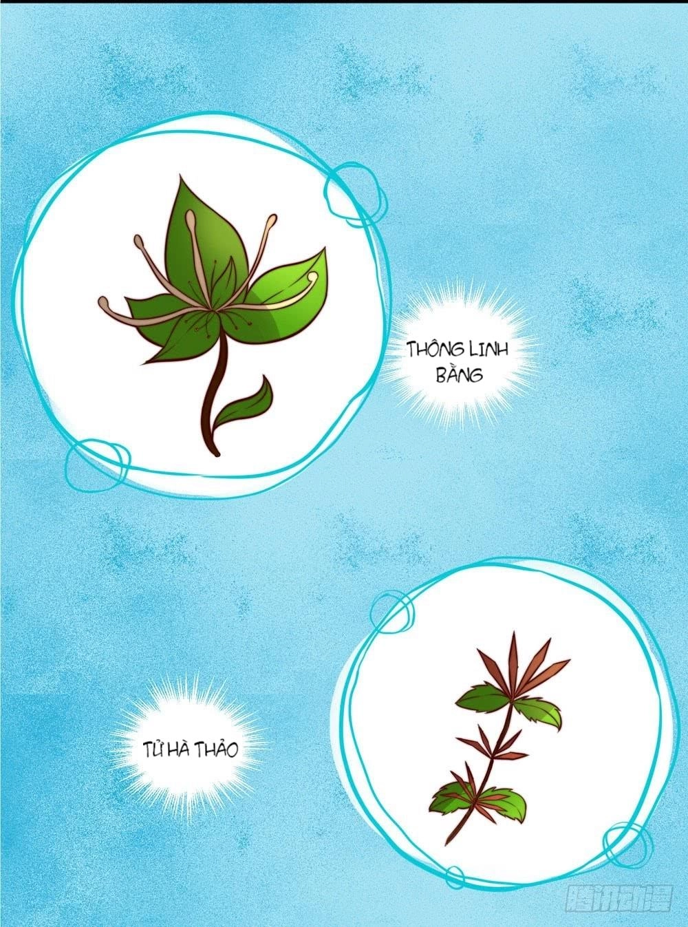 Hướng Dẫn Sau Kết Hôn Của Vương Phi Chapter 12 - 21