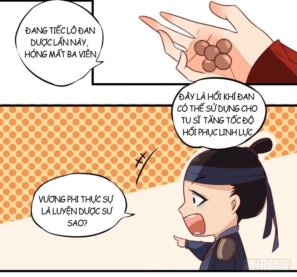 Hướng Dẫn Sau Kết Hôn Của Vương Phi Chapter 13 - 3