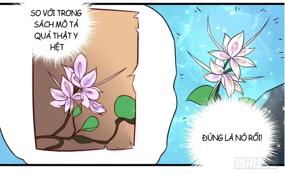 Hướng Dẫn Sau Kết Hôn Của Vương Phi Chapter 17 - 40