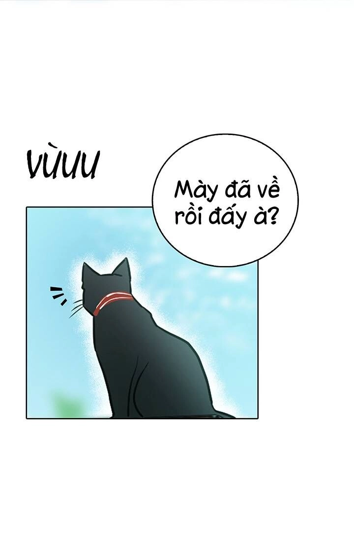 Cô Dâu Của Miêu Hoàng Tử Chapter 4 - 59