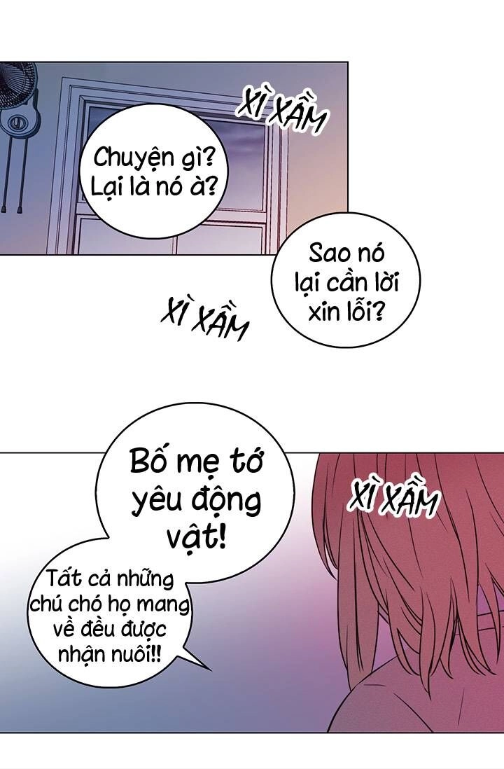 Cô Dâu Của Miêu Hoàng Tử Chapter 5 - 19