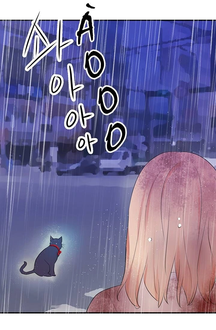 Cô Dâu Của Miêu Hoàng Tử Chapter 5 - 32