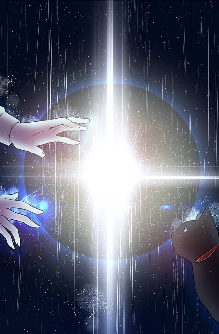 Cô Dâu Của Miêu Hoàng Tử Chapter 5 - 37