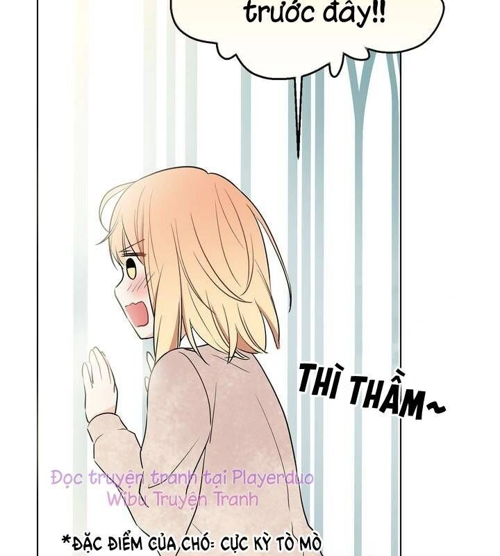 Cô Dâu Của Miêu Hoàng Tử Chapter 6 - 19