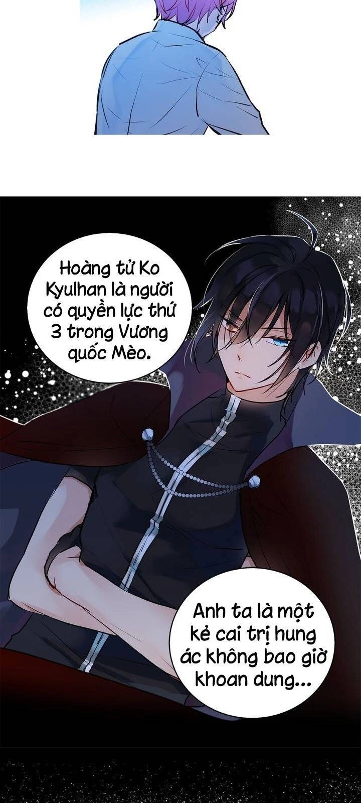 Cô Dâu Của Miêu Hoàng Tử Chapter 10 - 24