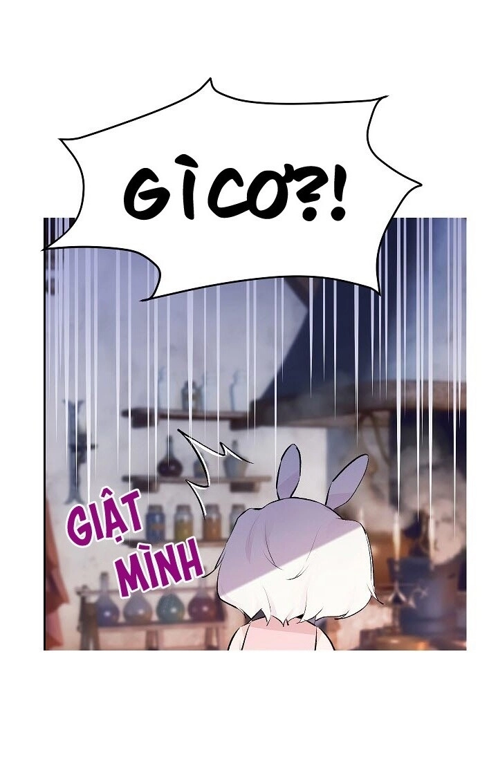 Cô Dâu Của Miêu Hoàng Tử Chapter 21 - 39