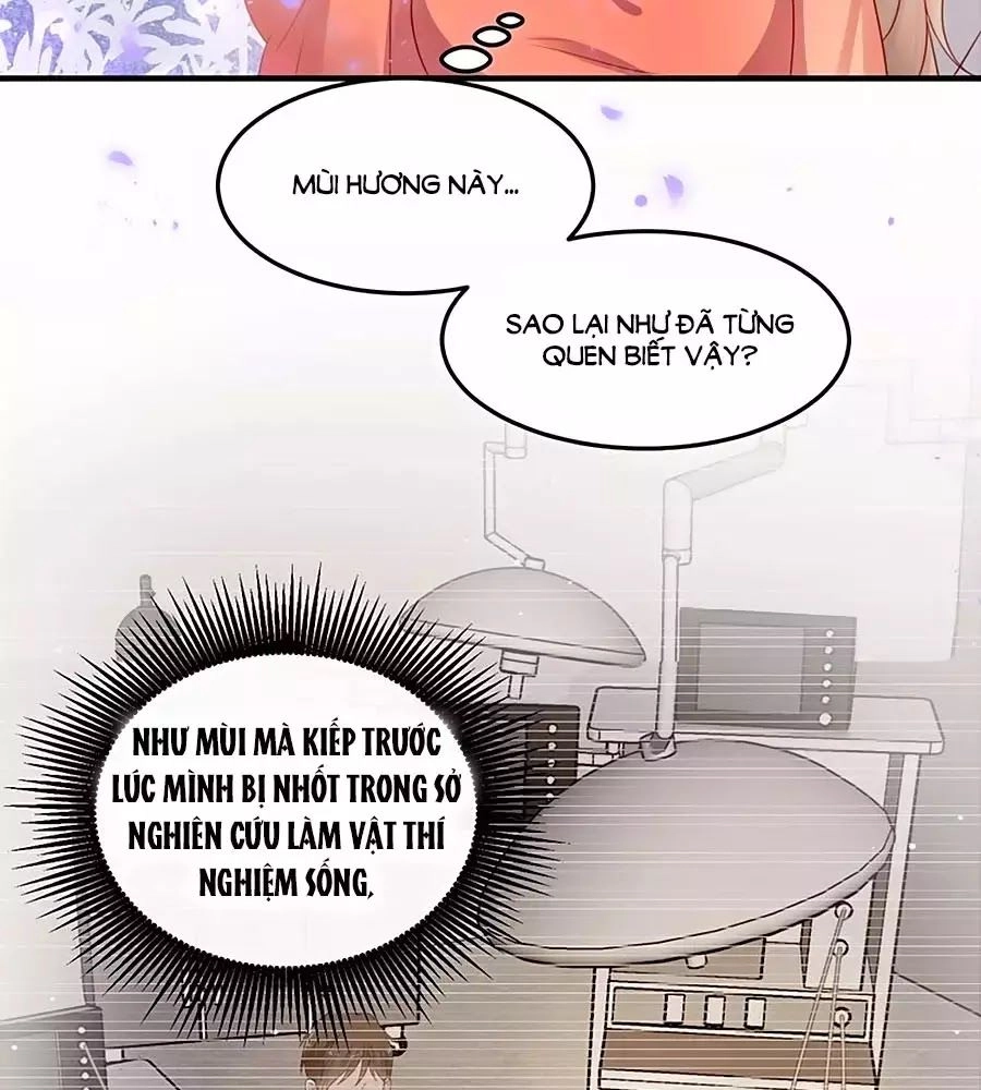 Khóa Chặt Đôi Môi Chapter 98 - 63