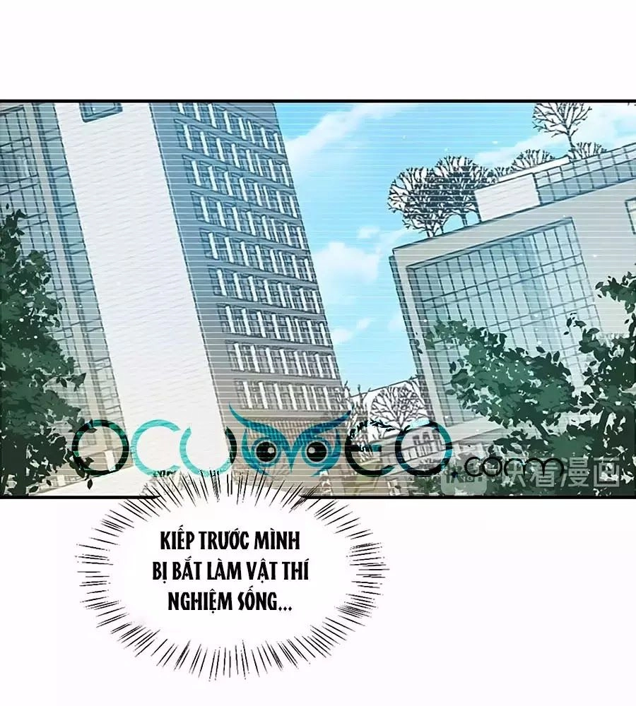 Khóa Chặt Đôi Môi Chapter 99 - 15