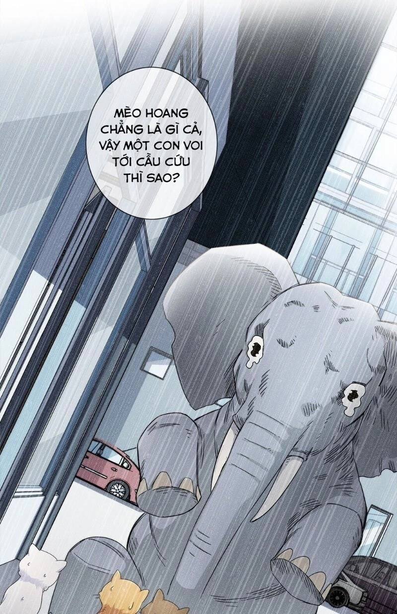 Dạ Thị Chi Chủ Chapter 20 - 35