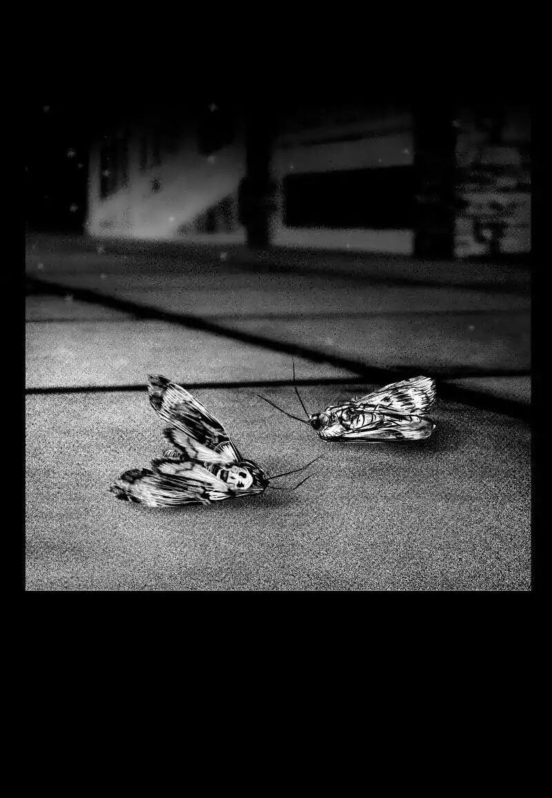 Liệu Pháp Của Melvina Chapter 22 - 22