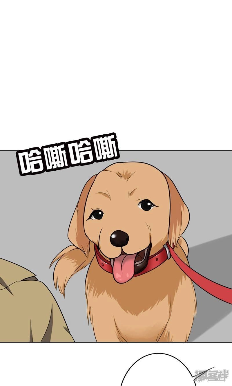 Become A Girl At Night Chapter 42 - 2