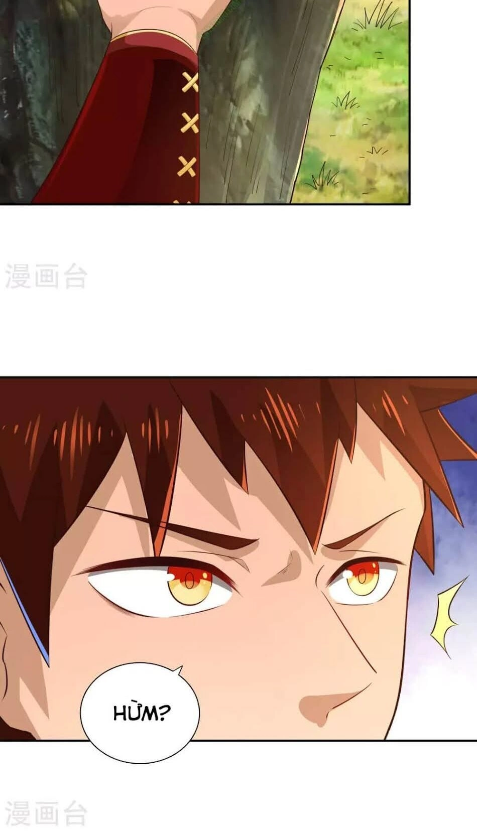 Võ Linh Kiếm Tôn Chapter 19 - 4