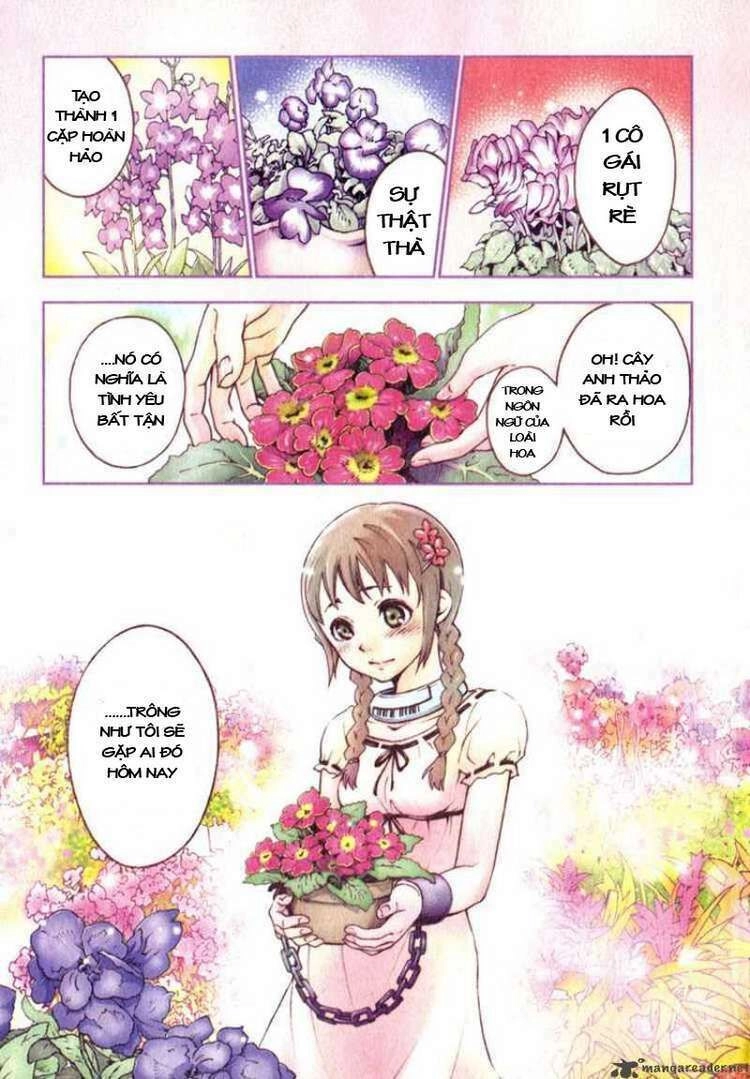 Xứ Sở Thần Tiên Của Người Chết Chapter 9 - 3