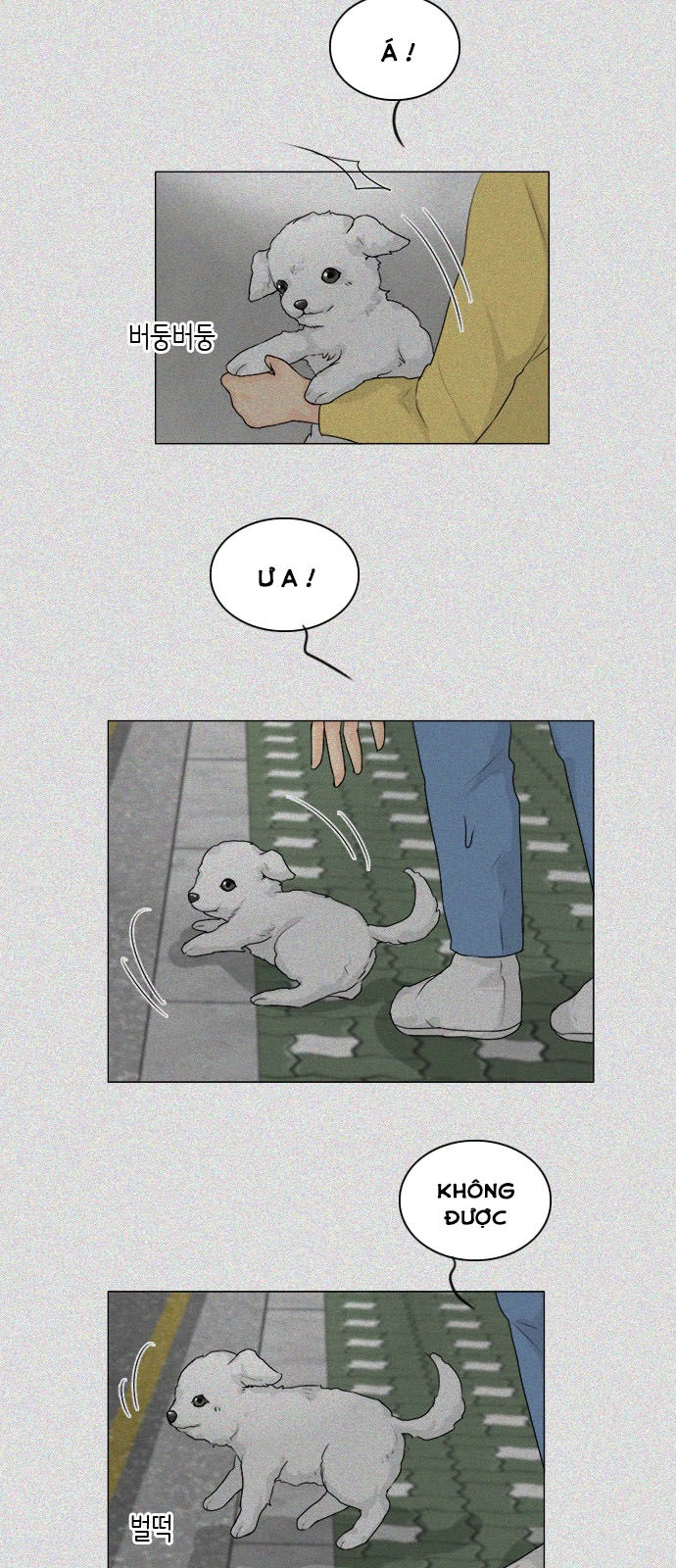 Vợ Ma Chapter 103 - 19