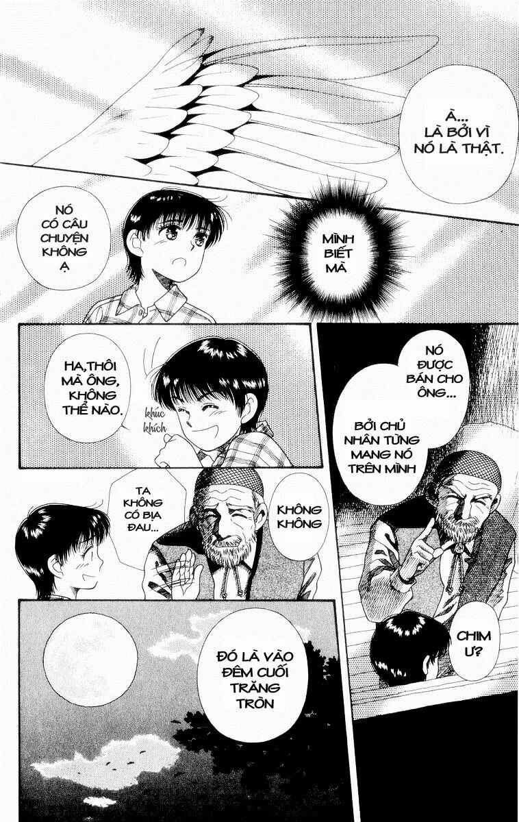 Lời Thì Thầm Từ Trái Tim Chapter 5 - 20