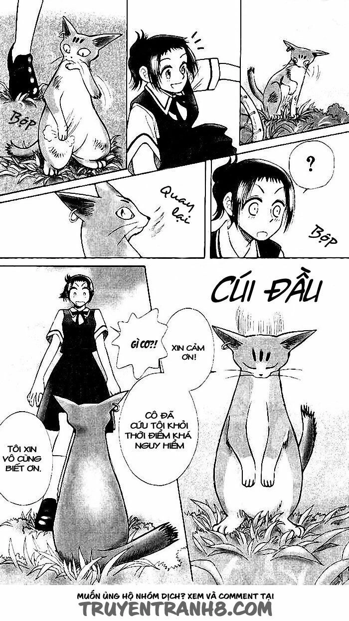 Lời Thì Thầm Từ Trái Tim Chapter 6 - 14