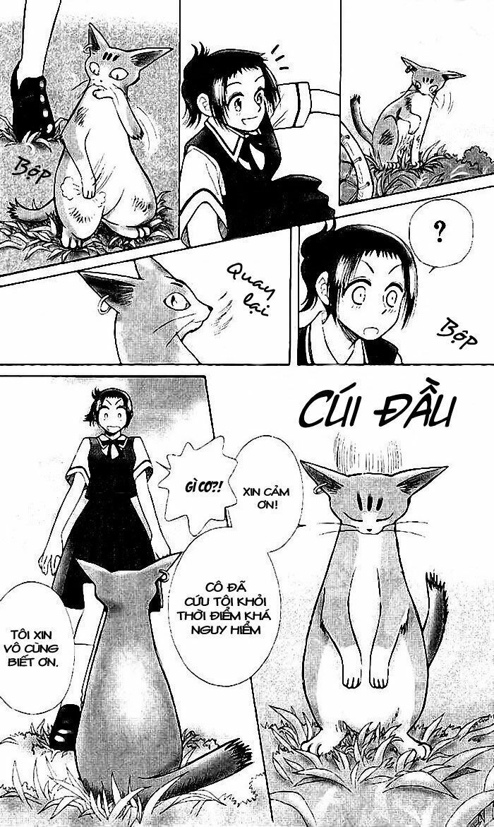 Lời Thì Thầm Từ Trái Tim Chapter 7 - 14