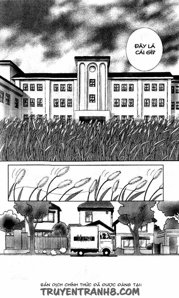 Lời Thì Thầm Từ Trái Tim Chapter 7 - 32