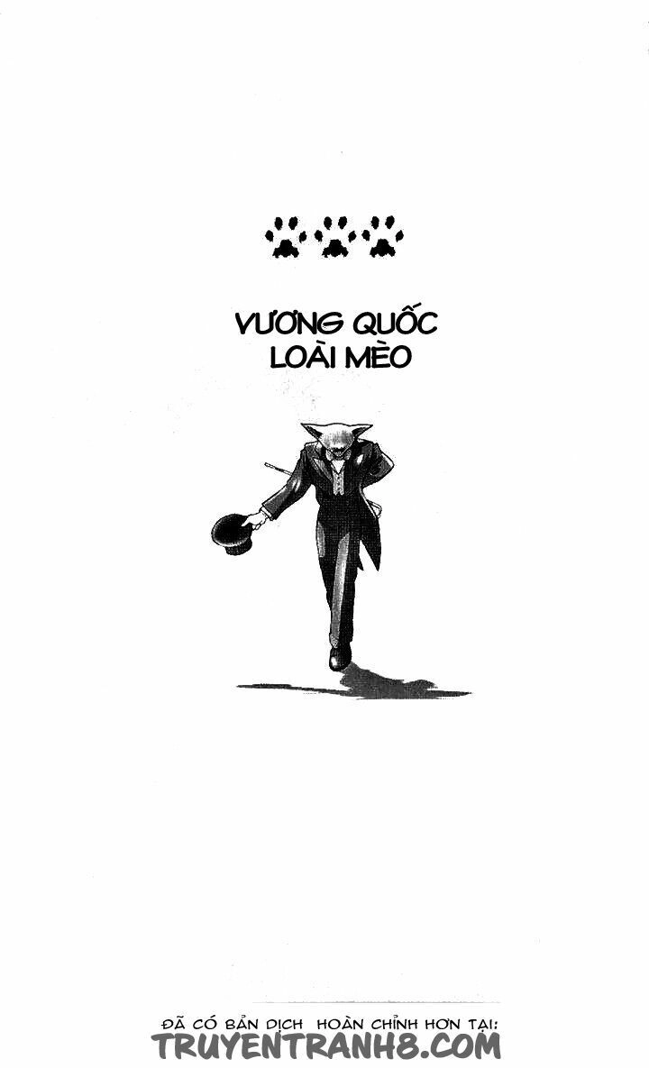 Lời Thì Thầm Từ Trái Tim Chapter 8 - 1