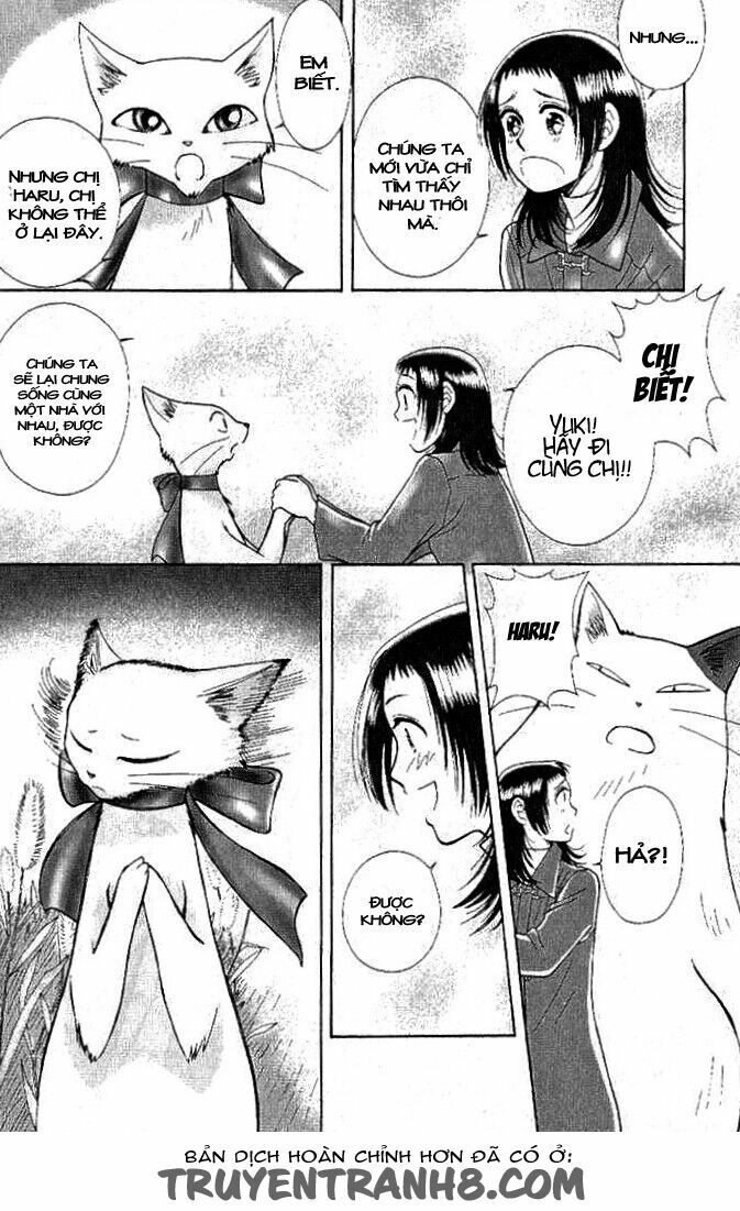 Lời Thì Thầm Từ Trái Tim Chapter 8 - 12