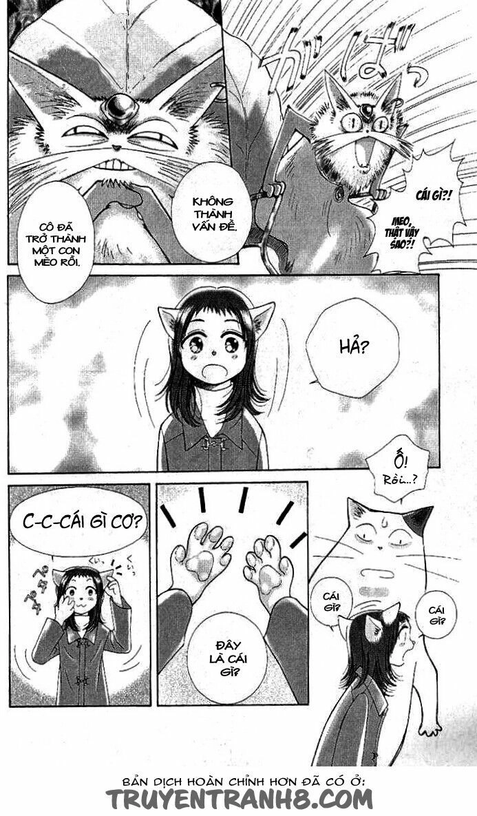 Lời Thì Thầm Từ Trái Tim Chapter 8 - 23