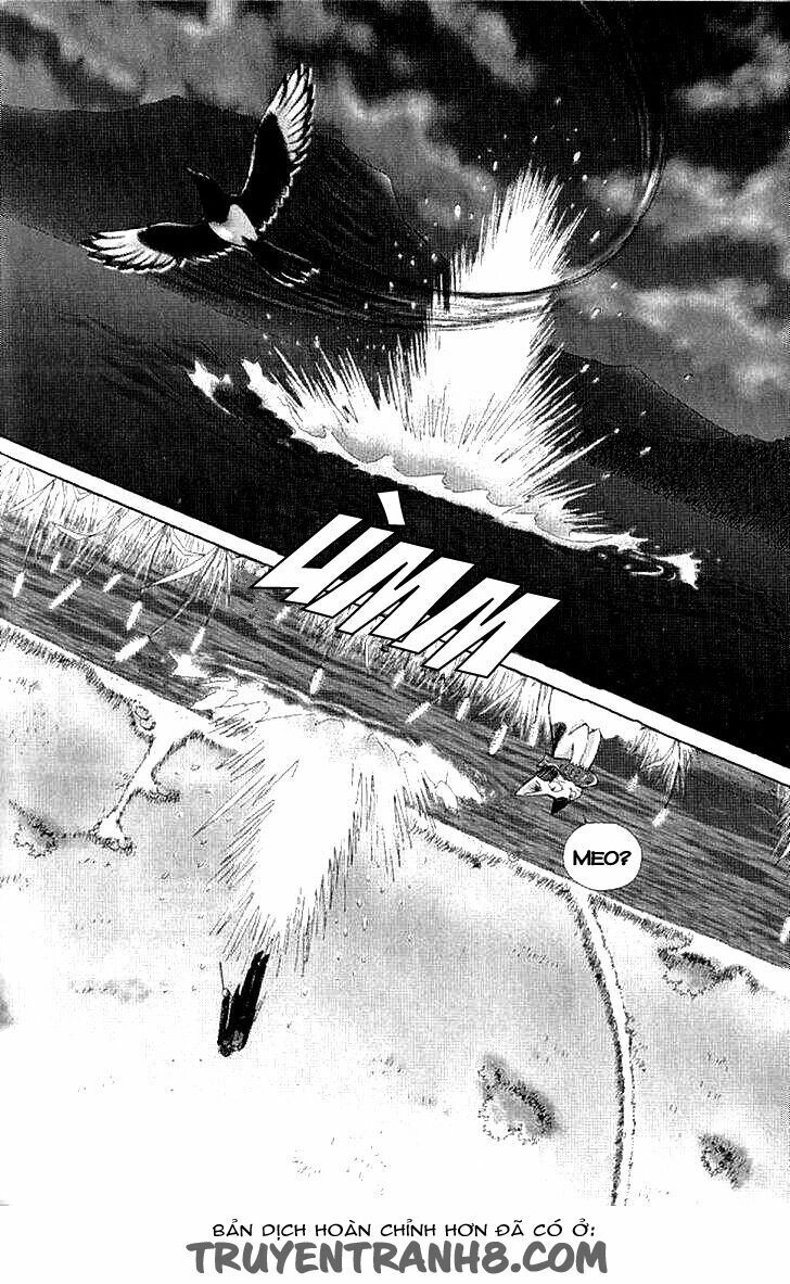 Lời Thì Thầm Từ Trái Tim Chapter 8 - 29