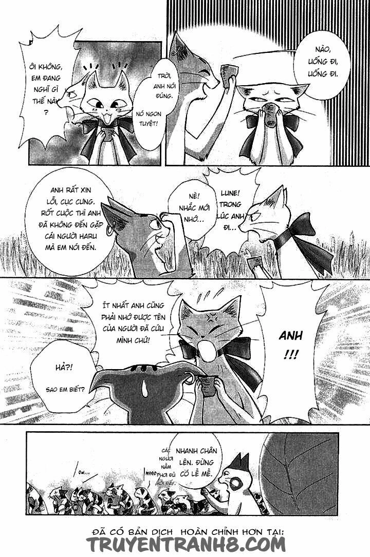 Lời Thì Thầm Từ Trái Tim Chapter 8 - 49