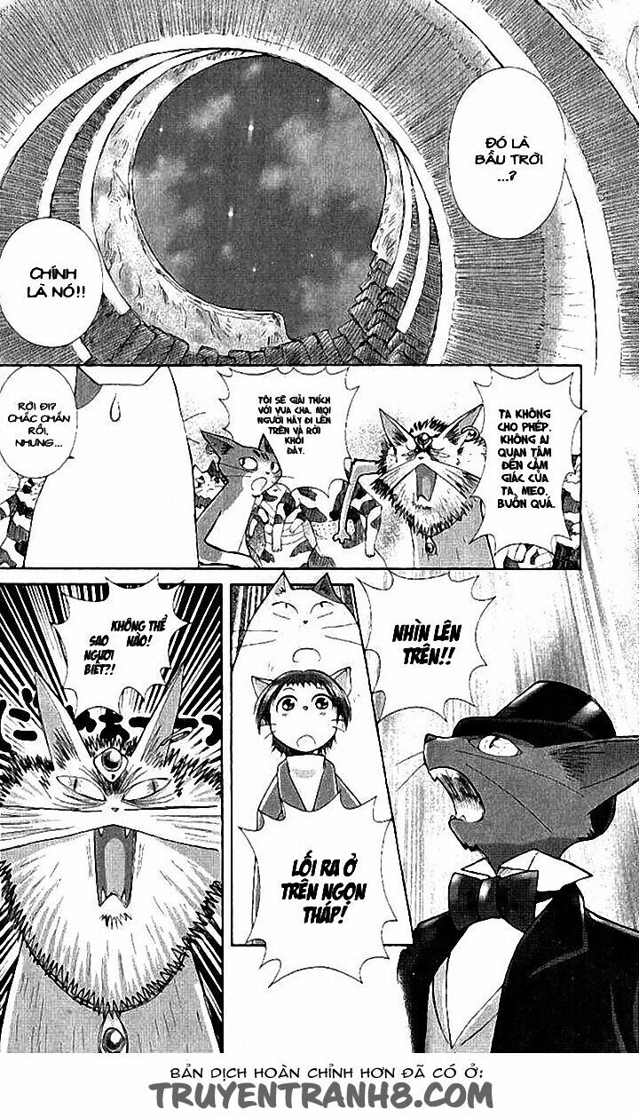 Lời Thì Thầm Từ Trái Tim Chapter 8 - 81