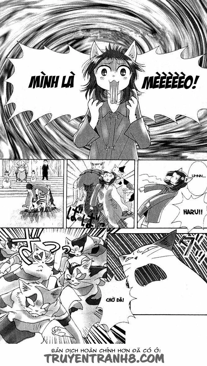 Lời Thì Thầm Từ Trái Tim Chapter 9 - 23