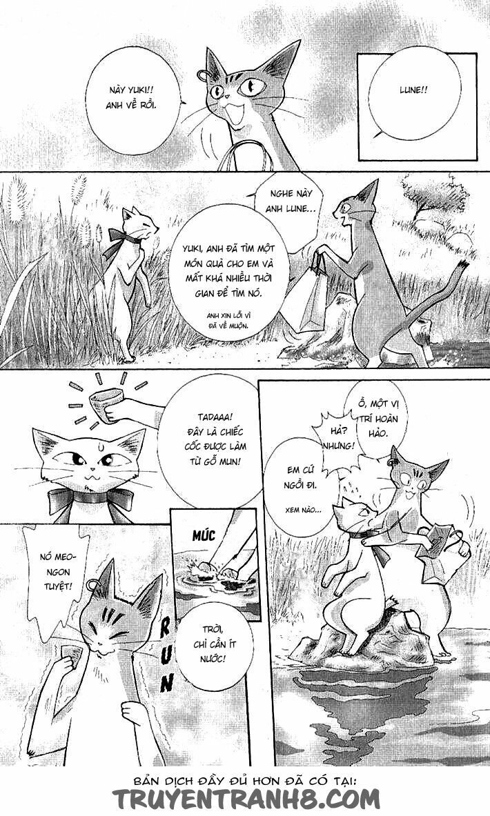 Lời Thì Thầm Từ Trái Tim Chapter 9 - 47