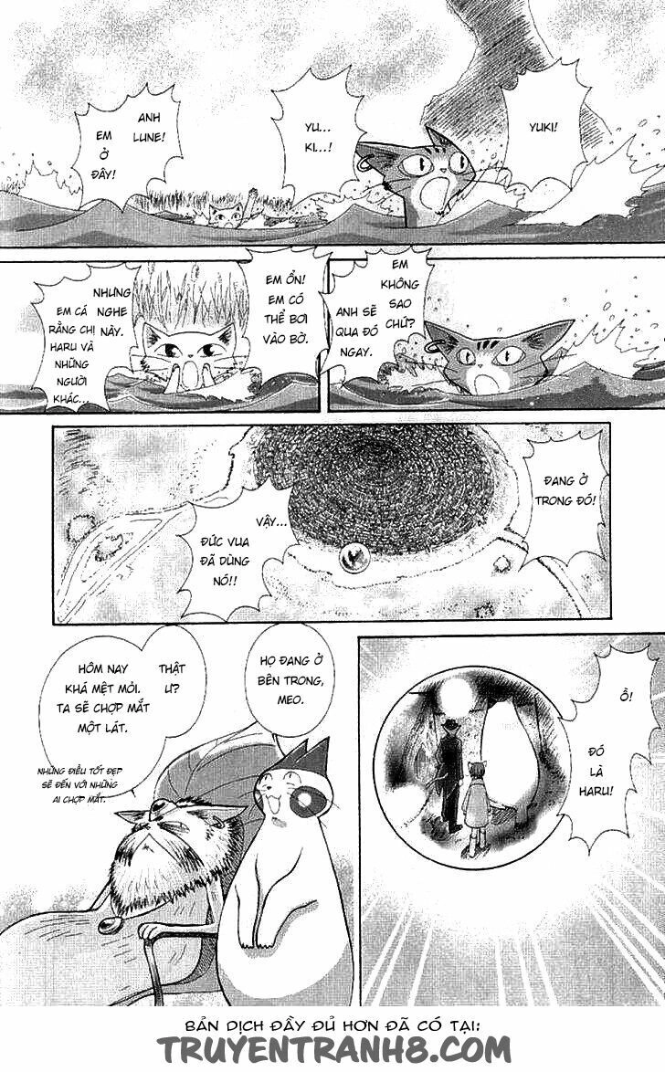 Lời Thì Thầm Từ Trái Tim Chapter 9 - 56