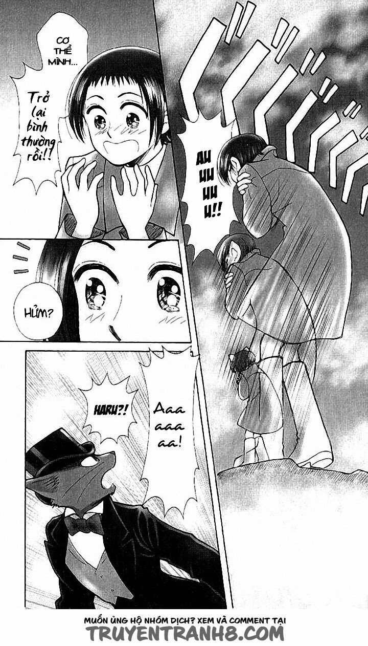 Lời Thì Thầm Từ Trái Tim Chapter 9 - 87