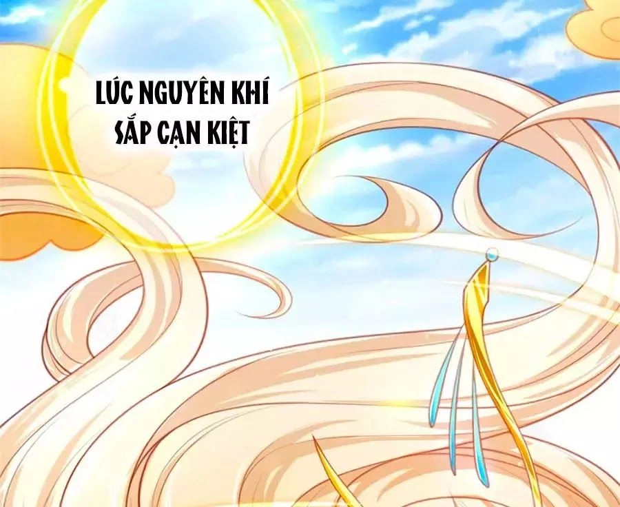 Phụng Lâm Thiên Hạ: Đệ Nhất Mỹ Nữ Chapter 2 - 13