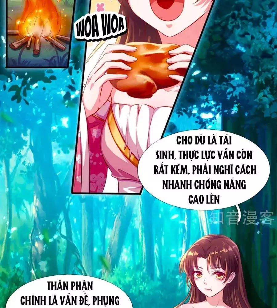 Phụng Lâm Thiên Hạ: Đệ Nhất Mỹ Nữ Chapter 4 - 2