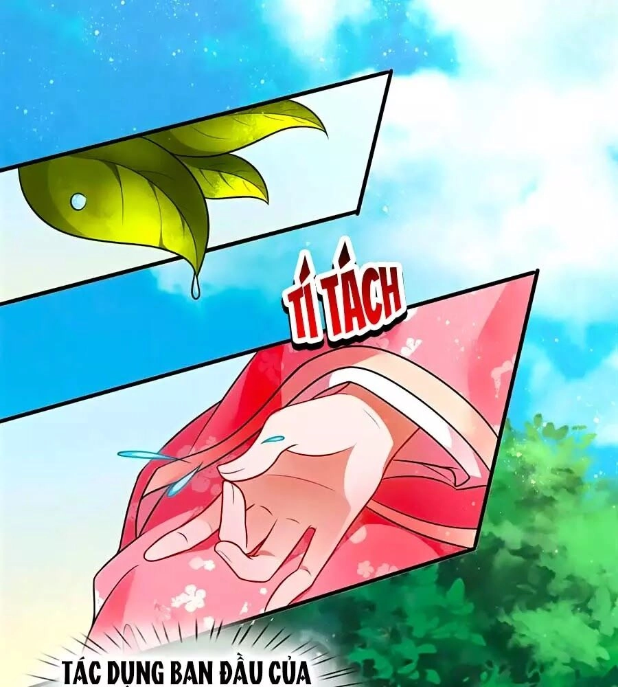 Phụng Lâm Thiên Hạ: Đệ Nhất Mỹ Nữ Chapter 14 - 23