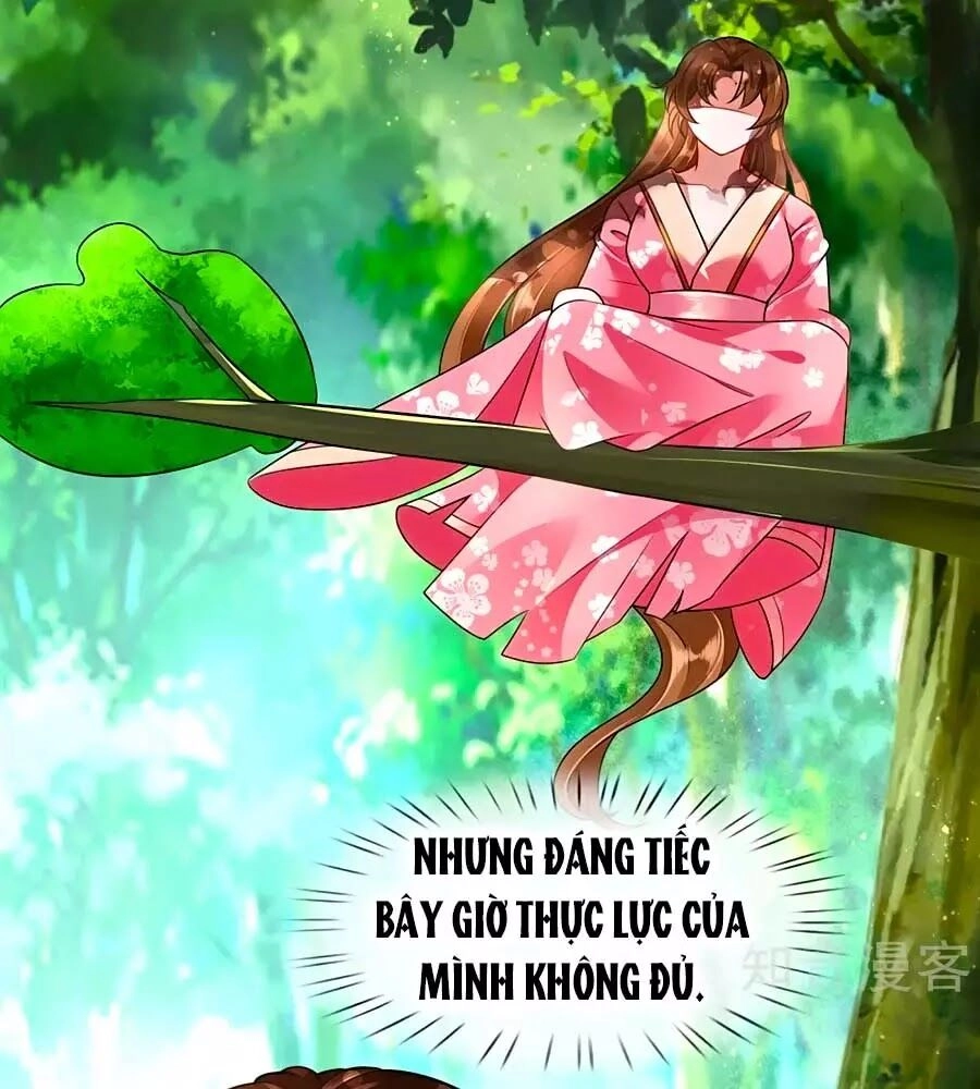 Phụng Lâm Thiên Hạ: Đệ Nhất Mỹ Nữ Chapter 14 - 25