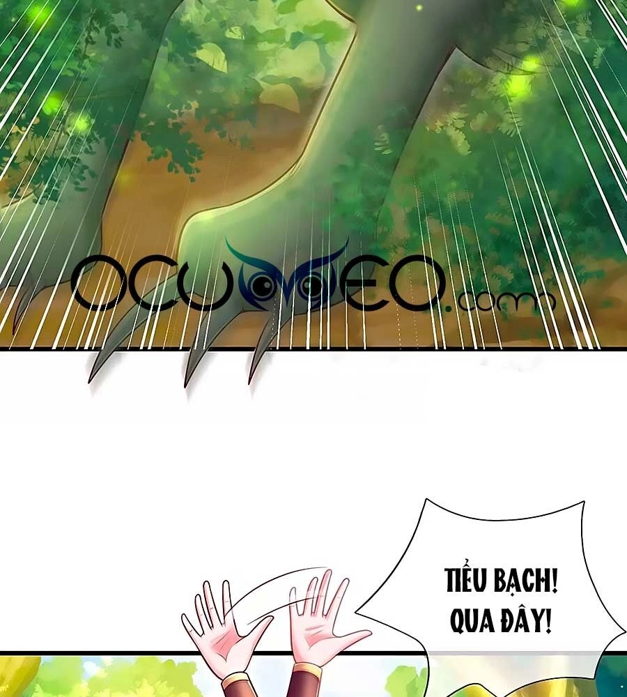 Phụng Lâm Thiên Hạ: Đệ Nhất Mỹ Nữ Chapter 72 - 3