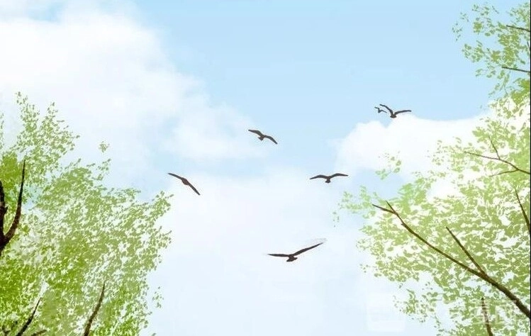 Bệ Hạ, Cầu Người Đừng Làm Yêu! Chapter 17 - 25