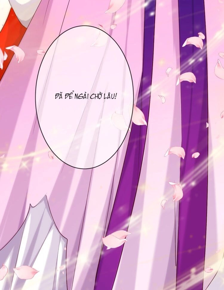 Bệ Hạ, Cầu Người Đừng Làm Yêu! Chapter 24 - 41