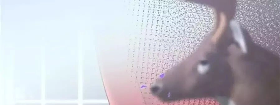 Vương Tử Và Ánh Trăng Đen Chapter 55 - 54