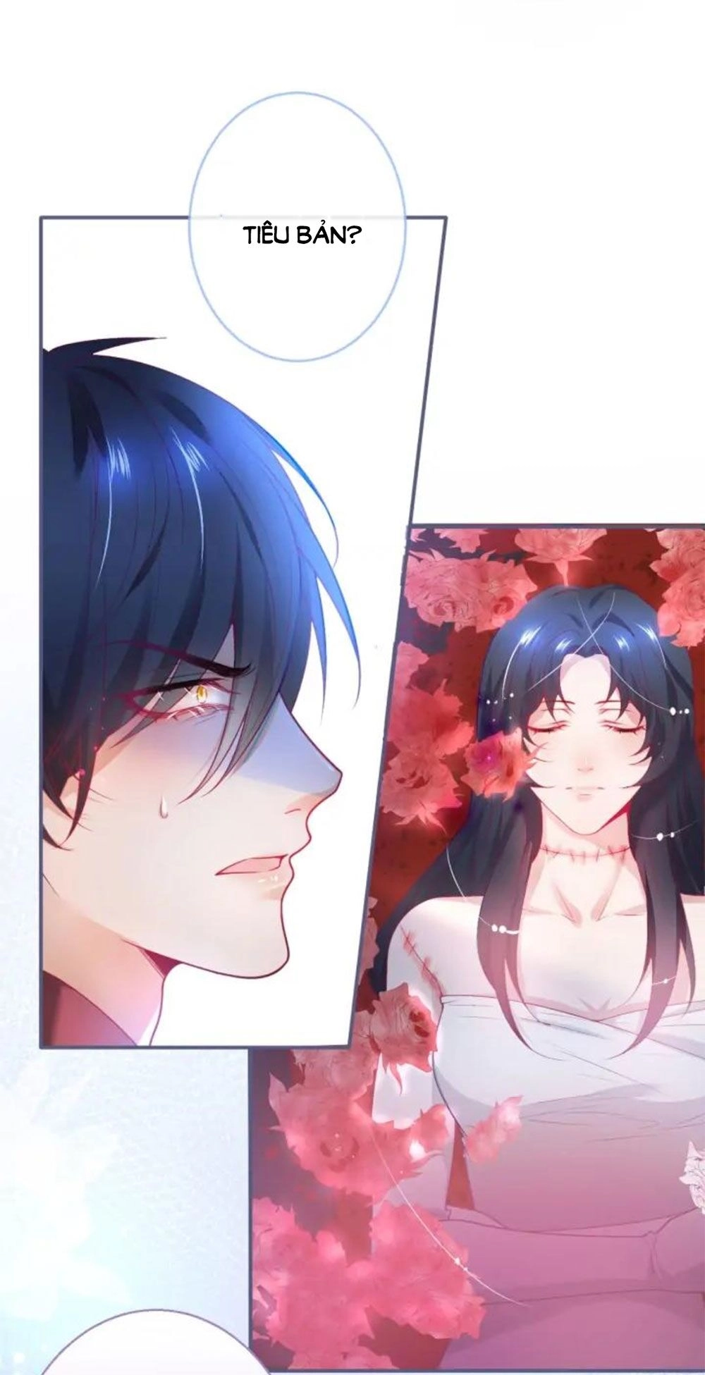 Vương Tử Và Ánh Trăng Đen Chapter 70 - 65