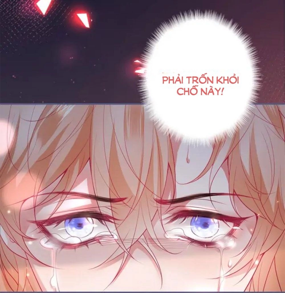 Vương Tử Và Ánh Trăng Đen Chapter 71 - 11