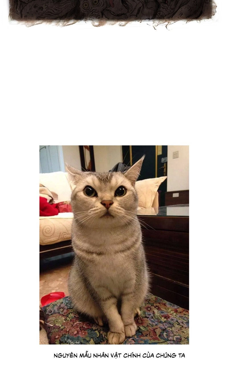 Miêu Hiệp Chapter 1 - 27